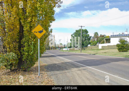 Canards Crossing road sign adjacent à la rivière Peel Tamworth Australie Banque D'Images