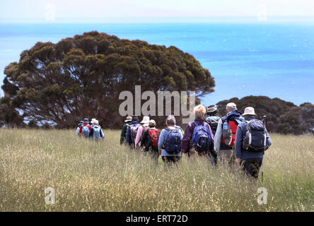 Dans Bushwalkers Baudins Parc de conservation. Kangaroo Island, Australie du Sud. Banque D'Images
