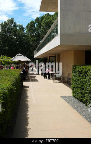 Jardins botaniques, Cambridge, Cambridgeshire, Angleterre Banque D'Images