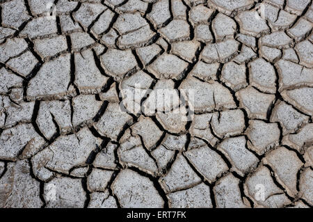 Marais de sel séché bed, stiffkey beach, North Norfolk, Angleterre Banque D'Images