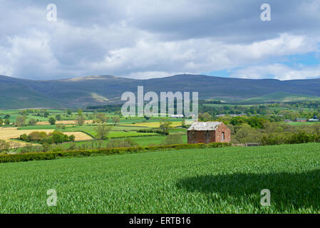 Grange sur le terrain et des terres agricoles, soutenus par Cross Fell, Eden Valley, Cumbria, Angleterre, Royaume-Uni Banque D'Images