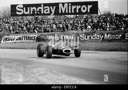 Goodwood Course internationale Réunion, le lundi de Pâques. Course en cours. 19 avril 1965. Banque D'Images