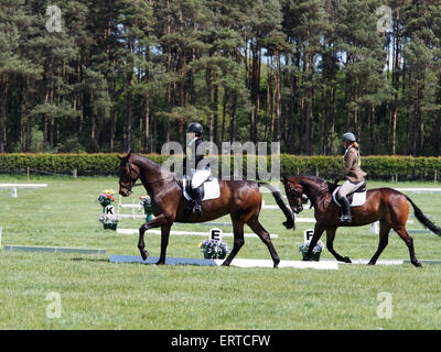 Belsay, UK. 6 juin, 2015. Concurrents dans la section dressage durant la deuxième journée de l'équitation de Belsay 2015, tenue dans le parc du château de Belsay dans le Northumberland, en Angleterre. Belsay château est géré par l'English Heritage et est ouvert au public toute l'année. Credit : AC Images/Alamy Live News Banque D'Images