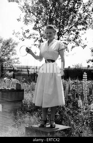Ethel Granger montre son tour de taille de 14 pouces, le plus petit du monde, dans sa ville natale de Peterborough. 14 juin 1957. Banque D'Images