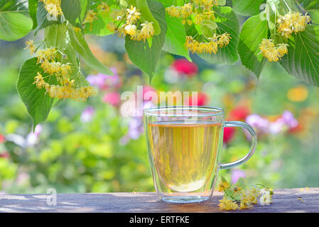 Linden du thé dans une tasse en verre dans le jardin Banque D'Images