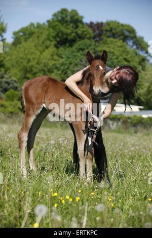 femme avec poulain Banque D'Images