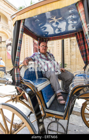 Conducteur de chariot locale Mdina Malte Banque D'Images