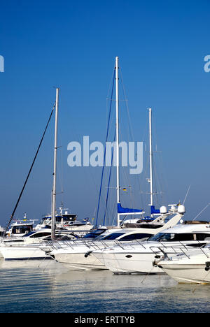 Yachts blancs sur une ancre dans le port Banque D'Images