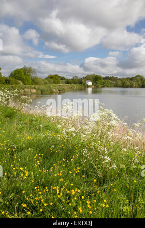 Lever de soleil sur l'printemps Tardebigge réservoir sur la Worcester & Birmingham Canal près de Tardebigge, Worcestershire, Angleterre, RU Banque D'Images