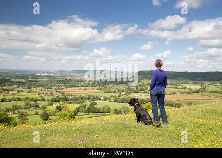 Printemps, promenade du chien sur la came de temps vers le bas et le Cotswold Way près de Uley, Gloucestershire, England, UK Banque D'Images