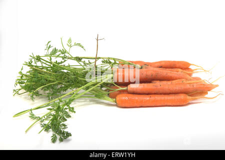 Carottes biologiques isolé sur Whiteripe Banque D'Images