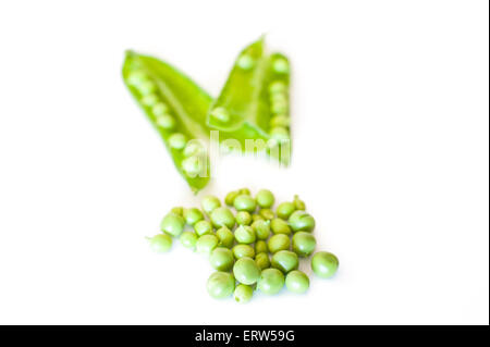 Les matières premières et les gousses de pois frais isolé sur fond blanc, selective focus Banque D'Images