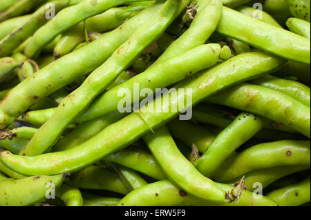 Large vert frais et cru en détail marché tas close up Banque D'Images