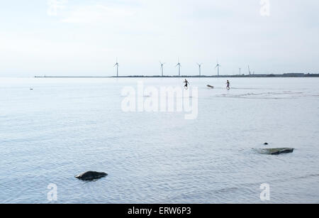 FALKENBERG, SUÈDE - 5 juin 2015 : les gens et les chiens s'amuser, de célébrer l'été dans l'eau le 5 juin dans la région de Skrea, Falkenberg, sw Banque D'Images