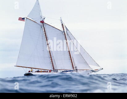 AJAXNETPHOTO - 1979. FOWEY, Cornwall, Angleterre. - Réplique de la goélette d'origine latine, VAINQUEUR DU TOUR 1851 L'ÎLE DE WIGHT 100 GUINÉE CUP YACHT RACE - NORD II, À PARTIR D'UNE COURSE DES GRANDS VOILIERS AU LARGE DE LA CÔTE de Cornouailles. PHOTO : JONATHAN EASTLAND/AJAX REF:1979  YA HDD Banque D'Images