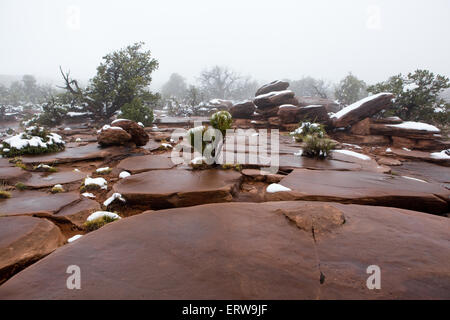 Slick rock formation in Utah Banque D'Images