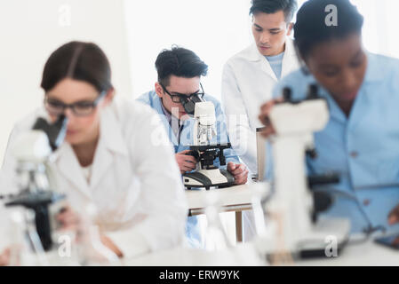 Les scientifiques à l'aide de microscopes en laboratoire de recherche Banque D'Images