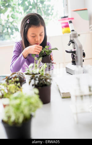 Étudiant chinois examining plants in science lab Banque D'Images