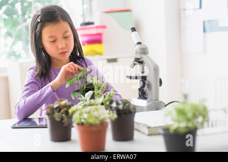 Étudiant chinois examining plants in science lab Banque D'Images