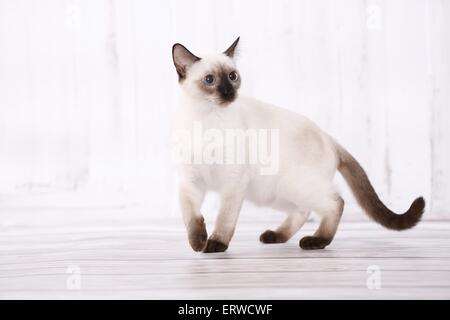 marche de Thai Banque D'Images