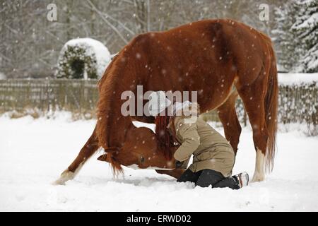 Femme avec cheval de sport allemand Banque D'Images