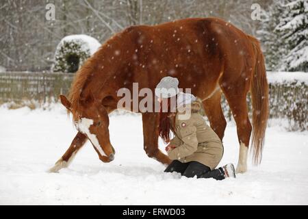 Femme avec cheval de sport allemand Banque D'Images