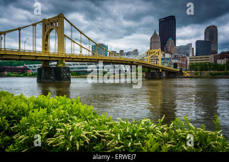 Le Rachel Carson Pont sur la rivière Allegheny de Pittsburgh, Pennsylvanie. Banque D'Images