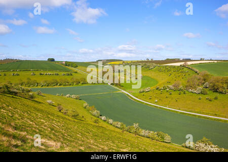 Vue aérienne sur les champs en patchwork dans une belle vallée rurale sur l'english channel au début de l'été. Banque D'Images