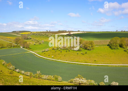 Vue aérienne sur les champs en patchwork dans une belle vallée rurale sur l'english channel au début de l'été. Banque D'Images