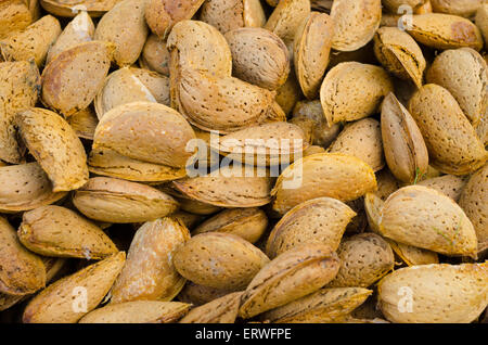 Un gros plan de quelques noix amandes Banque D'Images