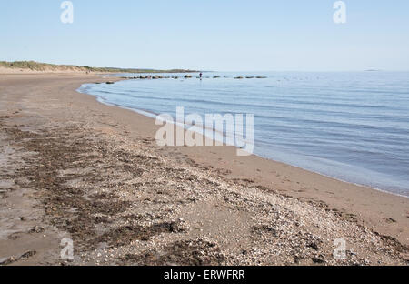 FALKENBERG, SUÈDE - 6 juin 2015 : les gens sur la plage le 6 juin 2015 dans Skrea, Falkenberg, Suède. Banque D'Images