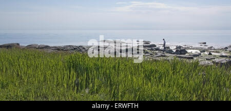 FALKENBERG, SUÈDE - 6 juin 2015 : Garçon crabfishing avec net sur la plage le 6 juin 2015 dans Skrea, Falkenberg, Suède. Banque D'Images