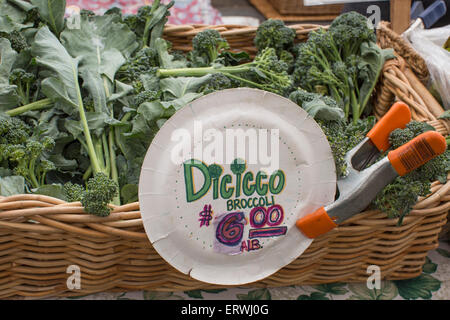 Basket of freshly harvested Di Cicco le brocoli au Ferry Building farmer's market à San Francisco. Banque D'Images