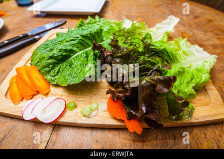 Ingrédients de la salade, la laitue romaine et rouge avec des tranches de carottes, les radis et les oignons sur une planche à découper Banque D'Images