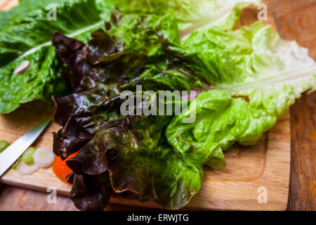 Ingrédients de la salade, la laitue romaine et rouge avec des tranches de carottes, les radis et les oignons sur une planche à découper Banque D'Images