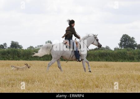 Des promenades en cheval arabe femme Banque D'Images