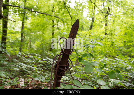 Jeu de fil barbelé, de la Première Guerre mondiale, émergeant de la masse dans forêt autour de Souville, forteresse de bataille de Verdun Banque D'Images