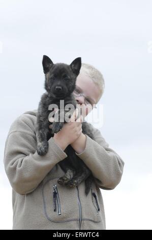 Garçon avec Hollandse Herder chiot Banque D'Images