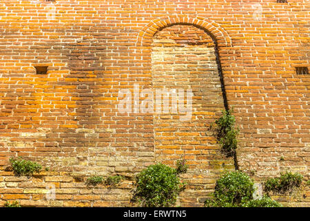 Les plantes vertes et les anciens murs de briques avec fenêtre de la fortification militaire de 1400 dans le Nord de l'Italie dans l'Émilie-Romagne, dans le centre du petit village de campagne de Riolo Terme. Banque D'Images