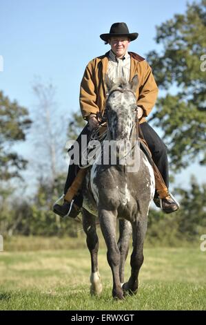 En homme Appaloosa-Mix Banque D'Images