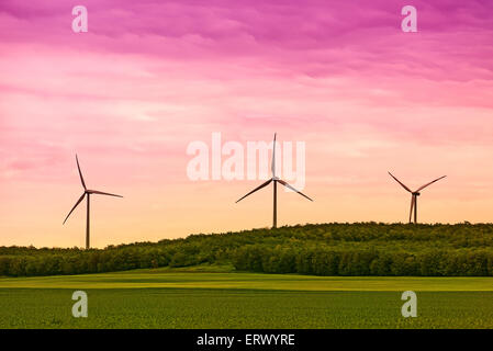 Trois éoliennes dans le domaine dans le coucher du soleil Banque D'Images