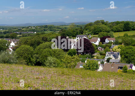 Aberthin Iolo Morganwg, sentier, sentier de marche autour de la ville de Bridgend, Vale of Glamorgan, Pays de Galles, Royaume-Uni. Banque D'Images