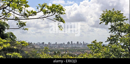 Recife, Pernambuco, Brésil, 2009. Vue de Recife à travers les arbres des collines d'Olinda. Banque D'Images