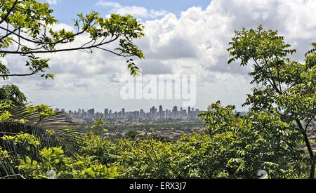 Recife, Pernambuco, Brésil, 2009. Vue de Recife à travers les arbres des collines d'Olinda. Banque D'Images