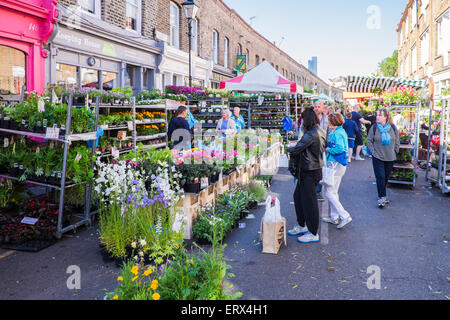 Columbia Road Flower Market, East London, Angleterre, Royaume-Uni Banque D'Images