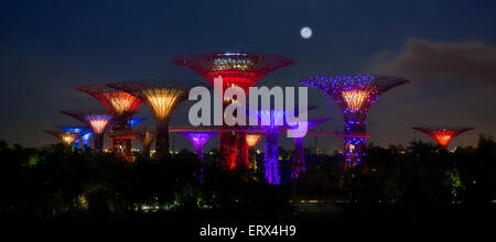 Singapour-JUN 1 : Vue de la soirée à Supertree Grove Gardens by the Bay le Juin 1, 2015 à Singapour. Banque D'Images