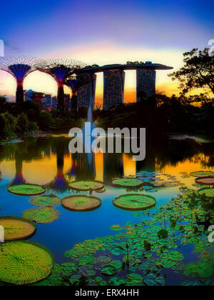 Singapour - JUIN 07 : Soirée voir d'eau étang, et Marina Bay Sands dans les jardins de la baie le Juin 07, 2015 à Singapour. Banque D'Images