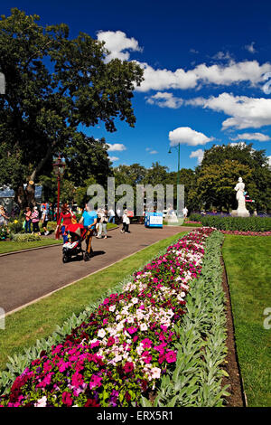 Ballarat Australie / Le Festival annuel bégonia de Ballarat est un événement populaire dans la ville de Ballarat. Banque D'Images