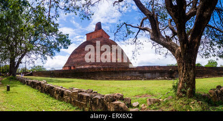 Jetvanarama Dagoba à la ville sainte d'Anuradhapura, Triangle culturel, au Sri Lanka, en Asie Banque D'Images