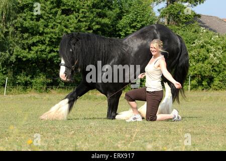 Femme avec Shire Horse Banque D'Images